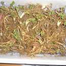 예산읍011 이미지