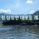 대포숲캠핑장 이미지