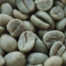 온두라스 커피 [Honduras Coffee] 이미지