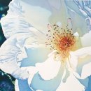 동화중학교 이미지