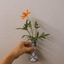 온기경