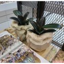 아브뉴안경원 이미지