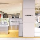 프리메라1 이미지