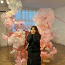 2023 강원특별자치도 양봉업 법정교육 | [후기리뷰] 강릉 실내 갈만 한 곳, 강릉 이색데이트 | 디자인씽킹뮤지엄