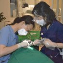 서울안아프게치과의원 이미지