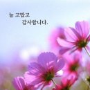 862회 월요 댄스 동호회 공지 올립니다 이미지