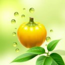 김오곤한의원 | 김오곤다이어트환 효능 후기 쾌변 유산균