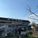 동면호포로10~가산교 | 포구나무집 호포 메기매운탕 맛집 웨이팅 꿀팁 재방문 후기