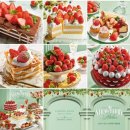 꼬꼬퀸즈 이미지