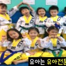 신주례태권도스쿨3 네이버블로그