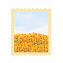 The 산수유 이미지