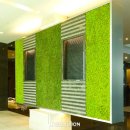 시그니처제이 이미지