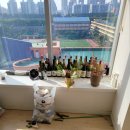 프라이빗크리닝
