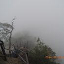 단양마늘만두 이미지