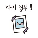 네일알루아
