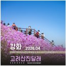 강화공설운동장 | 강화 고려산 진달래 축제 2026 완벽 가이드: 등산코스·위치·주차장·생생 후기 총정리 🌸