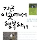 이곳에서