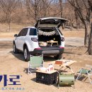 대신카서비스 머니투데이