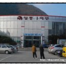일동싸이판 이미지
