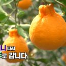 호근농장 이미지