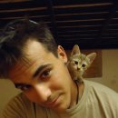 우정 동물병원 이미지