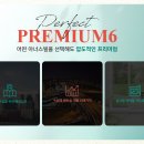 플라츠21 티스토리