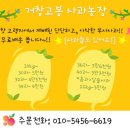 혜진농장 이미지