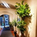 이쁘게미용실 이미지