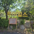 루이마켓 | 포천 루이힐스 파3 골프장 후기｜초보 골퍼 어프로치·퍼터 연습하기 딱 좋은 곳! 고모리 맛집까지