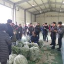 하동농협적량지점 이미지