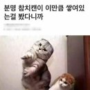 화성전자 - 화성시 화성로 1271 | 화성전자