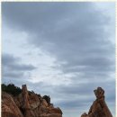 안심행정사사무소 이미지