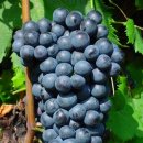 (주)레포스 이미지