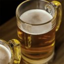 돼지네호프 이미지