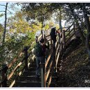 바람의언덕길 이미지