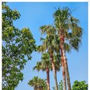 대륜동주민센터 이미지