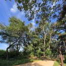 석정어린이공원 이미지