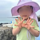 세화초등학교 병설유치원 이미지