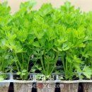 김민식농장 이미지