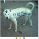 굿아이디어 이미지