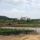 화장동경로당 이미지