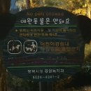 새터말어린이공원 이미지