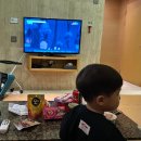 스탠포드호텔앤리조트㈜ | 제주도 리조트 추천_🏝️ 제주 애월 오션뷰 숙소, 스탠포드호텔앤리조트 후기