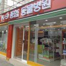 케이나인종합동물병원 이미지