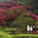 직장인바리스타교실 이미지