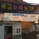 송정오리농장 이미지