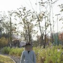 진영역사공원(진영읍 진영리 701-1) | 진영철도박물관, 김해에 이런곳도 있네요!
