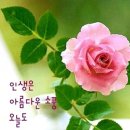 고집 센 사람과 똑똑한 사람 이미지