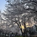 상체프레임 8주차 <b>체지방</b> 줄이기! ( <b>비만도</b> <b>계산기</b> )