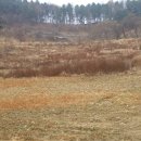 강촌농장 이미지